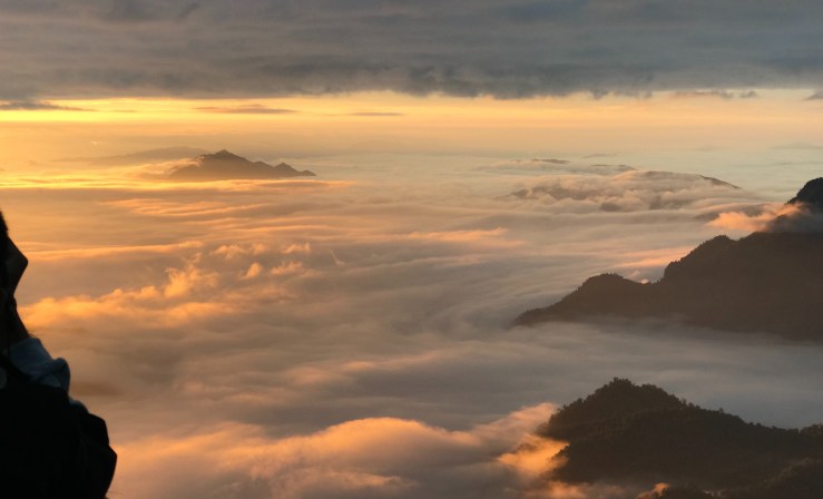 prapoth-panchuea-510086-unsplash